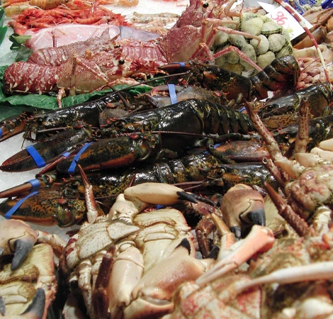 Buy King Crab Online