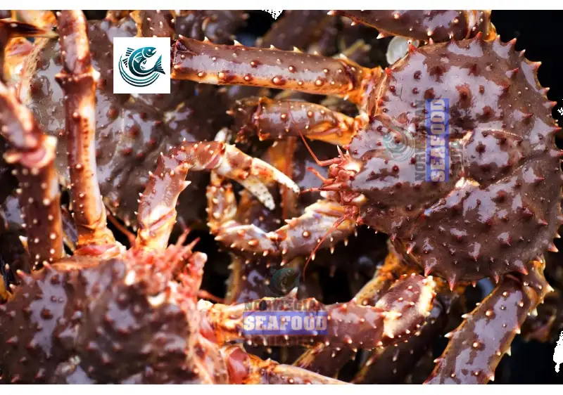 From Fjord to Fork: A Behind-the-Scenes Look at Sustainable King Crab Harvesting