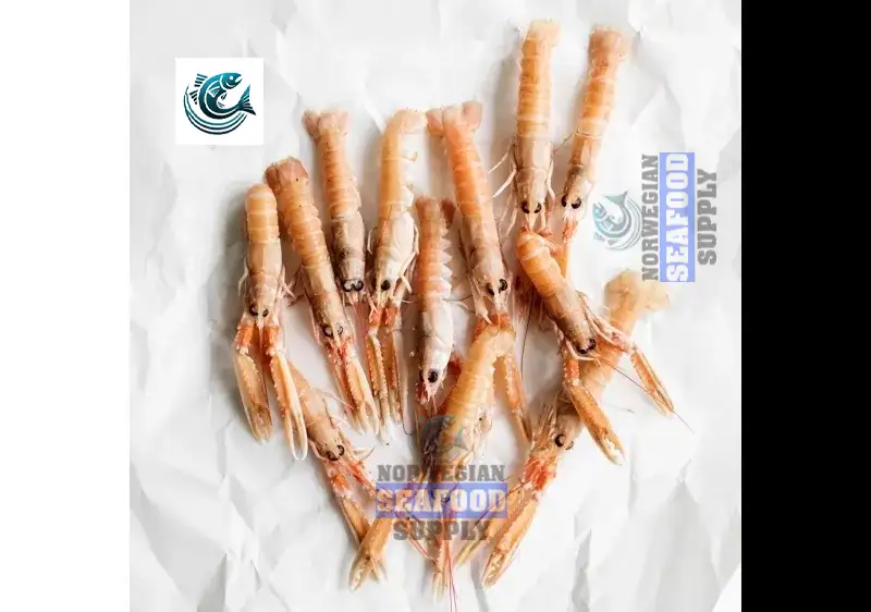 The Journey of Norway Lobsters: From Ocean Floor to Fine Dining