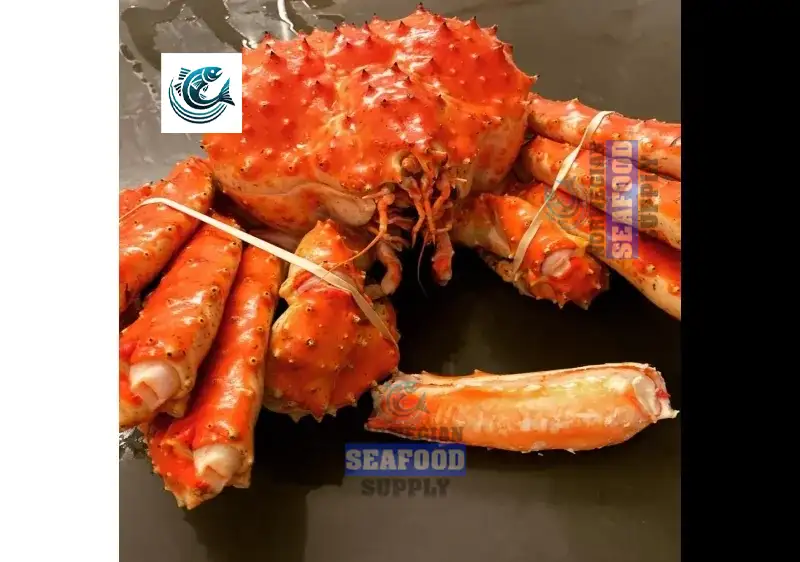 Why Is Norwegian Red King Crab So Expensive? An In-Depth Look at Norway’s Luxury Seafood Treasure
