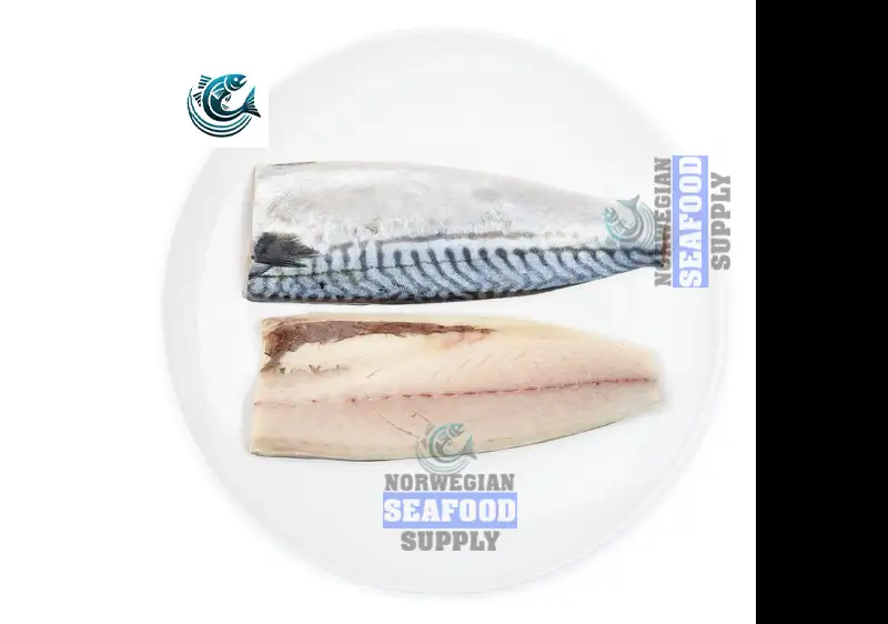 Craving Quality Seafood? Here’s How to Buy the Best Norwegian Mackerel