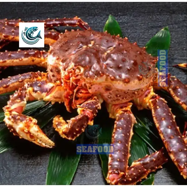 Live Red Norwegian King Crab