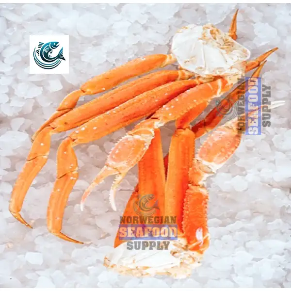 Frozen Live Snow Crabs Snow Crab Clusters