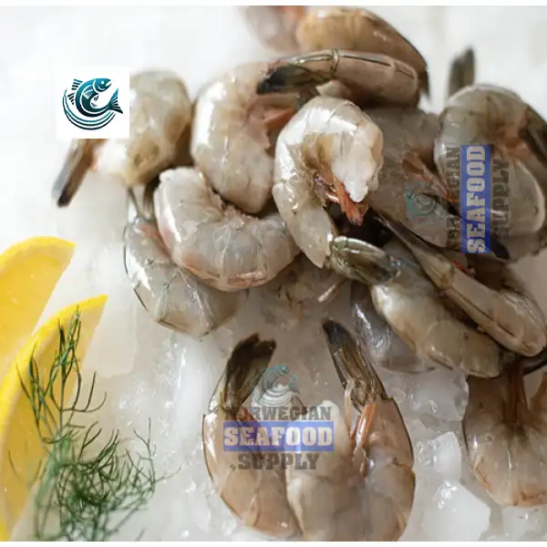 Frozen Live Red White Shrimps