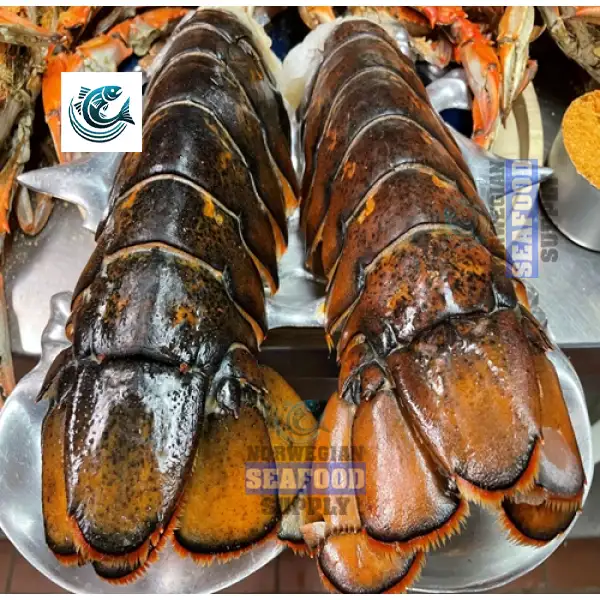 Frozen Boston Lobster Tails